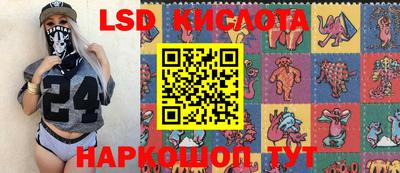гашик Камышлов