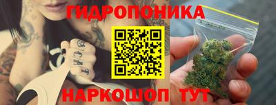 гашик Камышлов