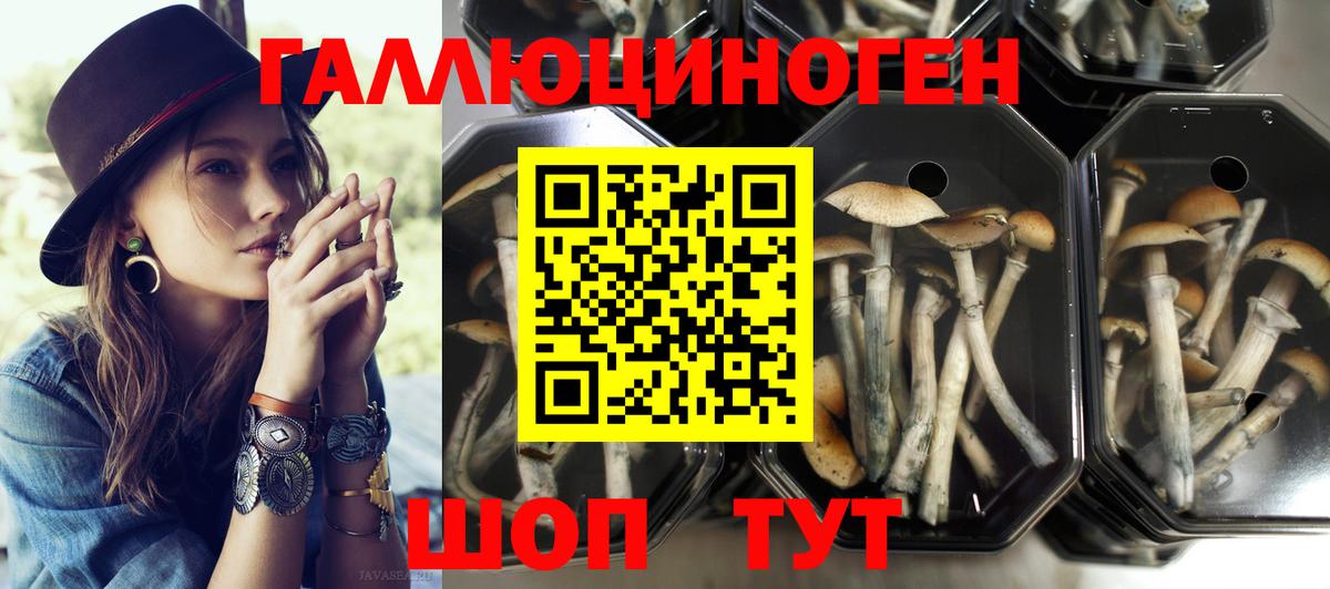 Псилоцибиновые грибы прущие грибы Дятьково